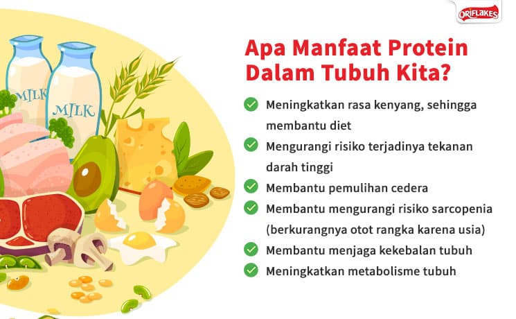 Apa Saja Manfaat Diet Tinggi Protein Untuk Tubuh
