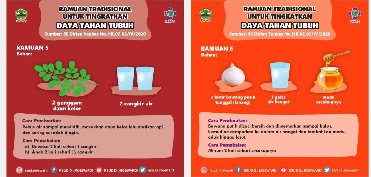 Obat Herbal Yang Efektif Untuk Meningkatkan Daya Tahan Tubuh