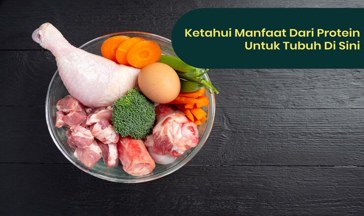 Apa Saja Manfaat Diet Tinggi Protein Untuk Tubuh