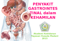 Penjelasan Lengkap Mengenai Penyakit Gastrointestinal Yang Umum