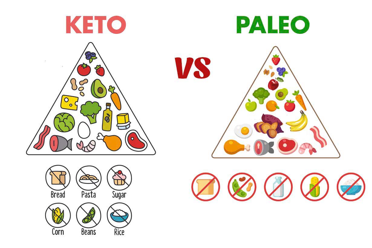 Perbedaan Antara Diet Keto Dan Diet Paleo